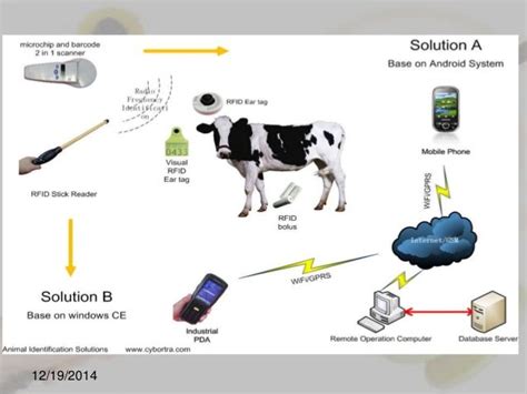 Rfid a modern technique in animal identification 